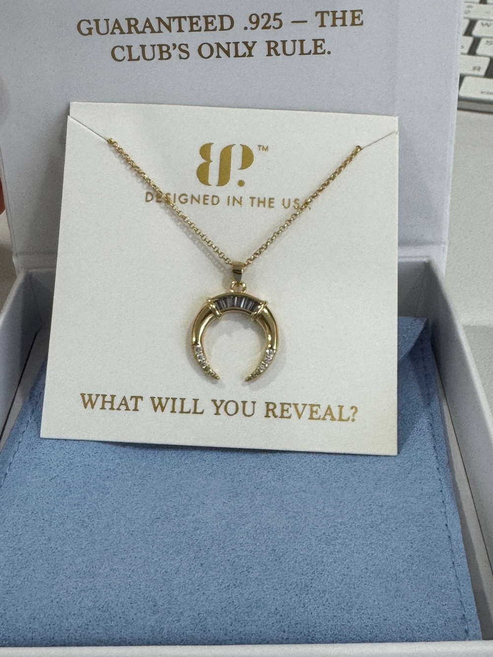 Bomb Party Sterling Club 2026 Vermeil Horse shoe necklace